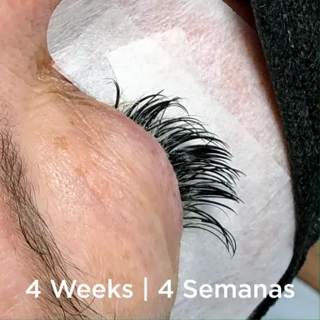 VEKI Pegamento para Extensiones de Pestañas Profi 5ml - 4 - Pegamentos para extensiones de pestañas