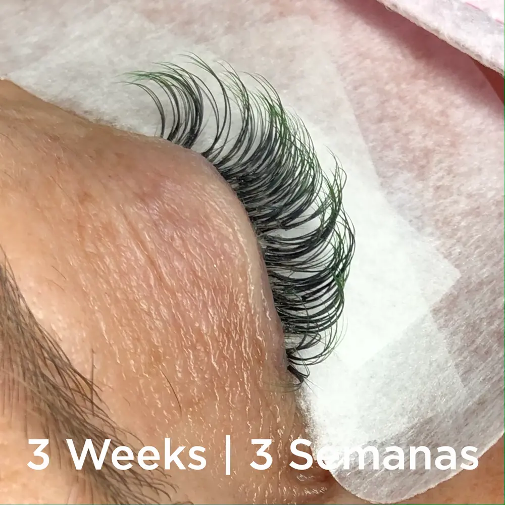 VEKI Lim for profesjonelle vippe-extensions 5ml - Tilbud 3x2 - 5 - Lim for vippe-extensions