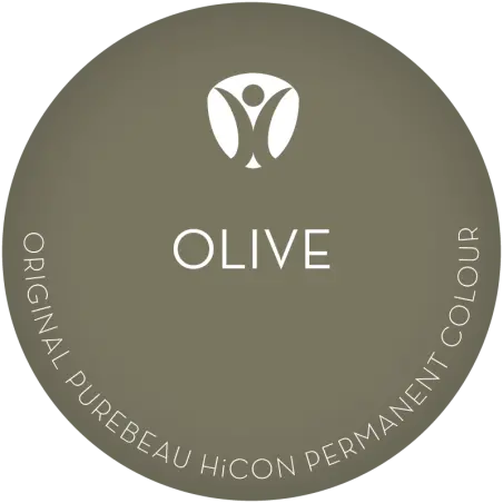 Purebeau AB10 Olive Pigment korektor za obrve 10ml - 1 - Пигменти