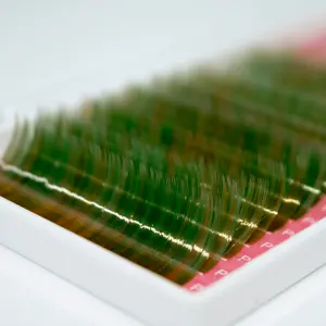 Pestañas de colores Candy Lash 0.07 C Mix 8-15mm Verde - 1 - Pestañas de colores y ombré