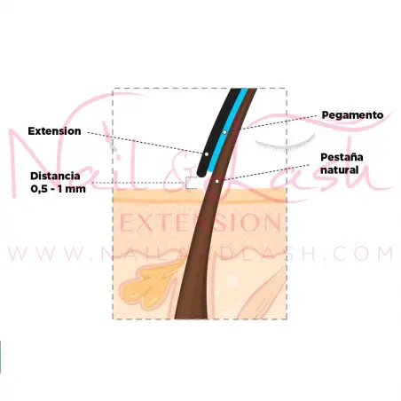 VEKI Pegamento para extensiones de pestañas Premium 5ml - 5 - Pegamentos para extensiones de pestañas